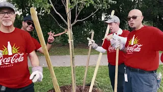 Four volunteers wearing red Coca‑Cola shirts plant young trees with shovels in a park.